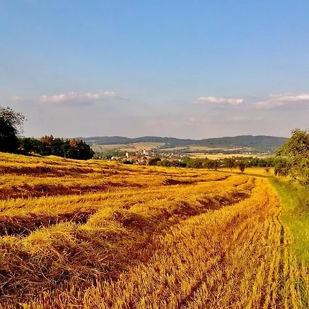 Mlyn Stare Mitrovice ゲストハウス 3*